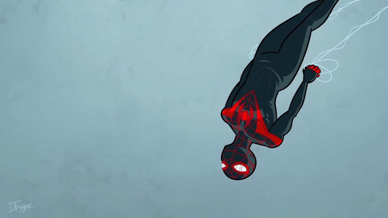 Обои Майлз Моралес, человек-паук, Совершенный Человек-Паук, комикс, комиксы Марвел в разрешении 2560x1440