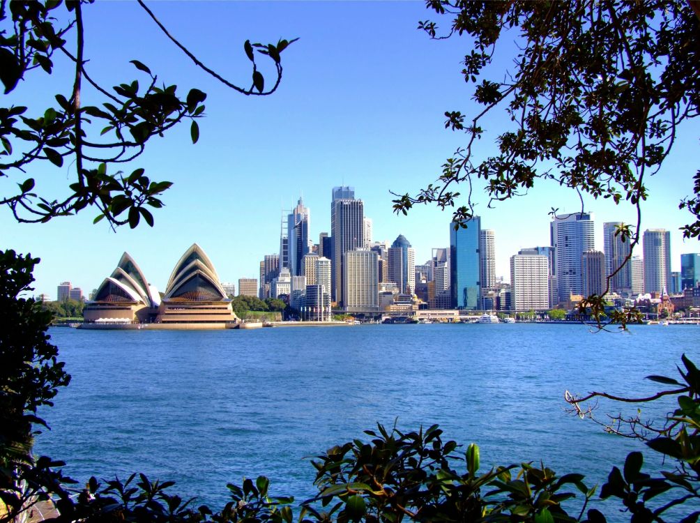 Обои сиднейский оперный театр, город, линия горизонта, дневное время, дерево в разрешении 3744x2796
