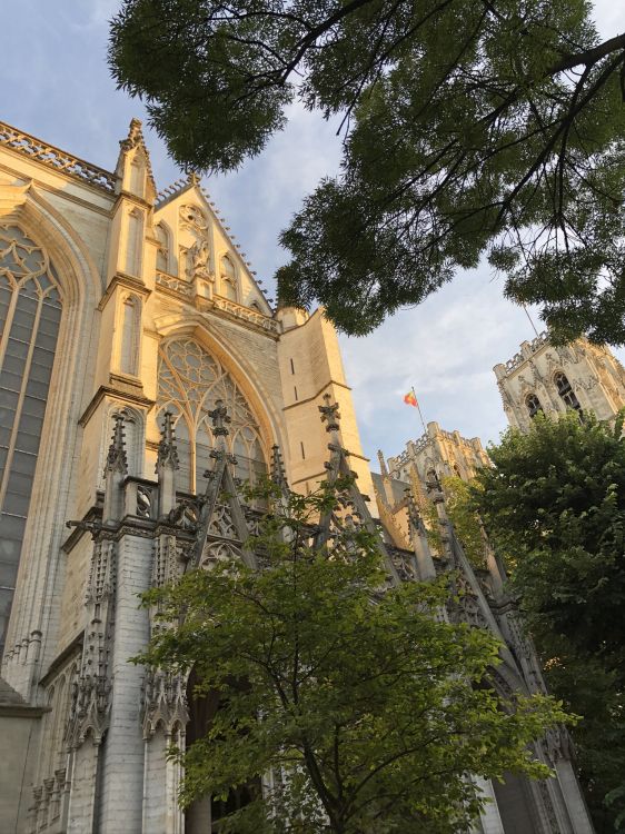 Обои ориентир, биология, наука, дерево, фасад в разрешении 1536x2048