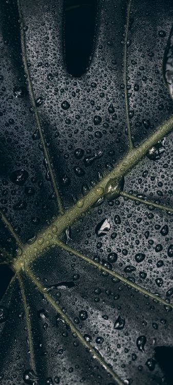 Обои вода, soundcloud, Веб-дизайн, дизайн, web-страница в разрешении 1080x2400