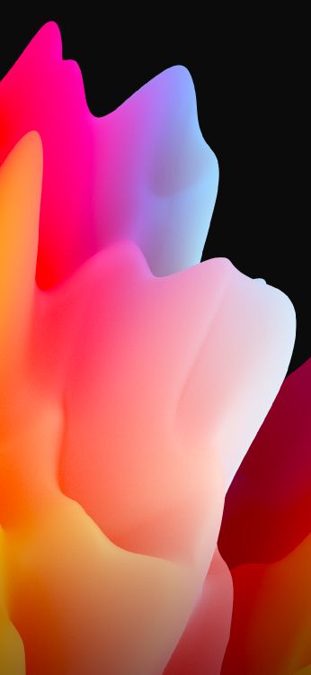 Обои лепесток, TCL, цветок, растение, жест в разрешении 1080x2340