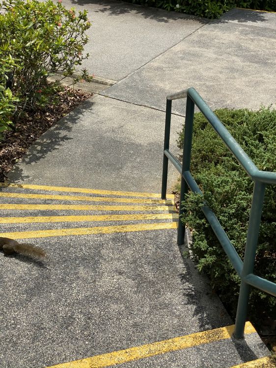 Обои путь, дорожное покрытие, тротуар, асфальт, математика в разрешении 1536x2048