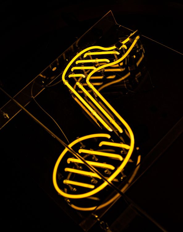 Обои свет, неон, неоновая вывеска, графика, Ryval Линас Музыка в разрешении 4000x5055