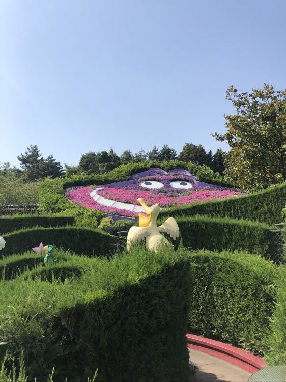 Обои газон, пистолет для пенополиуретана 025ст, растение, сад, ботаники в разрешении 1536x2048