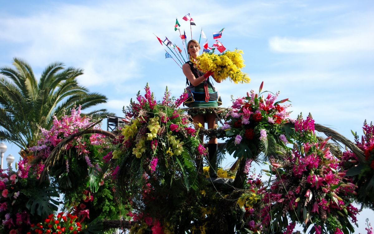 Обои весна, фестиваль, карнавал, цветковое растение, Флора в разрешении 2560x1600