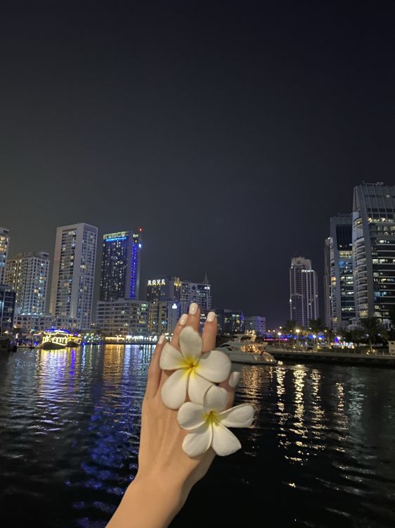 Обои отражение, небоскреб, лепесток, башня, ночь в разрешении 1536x2048