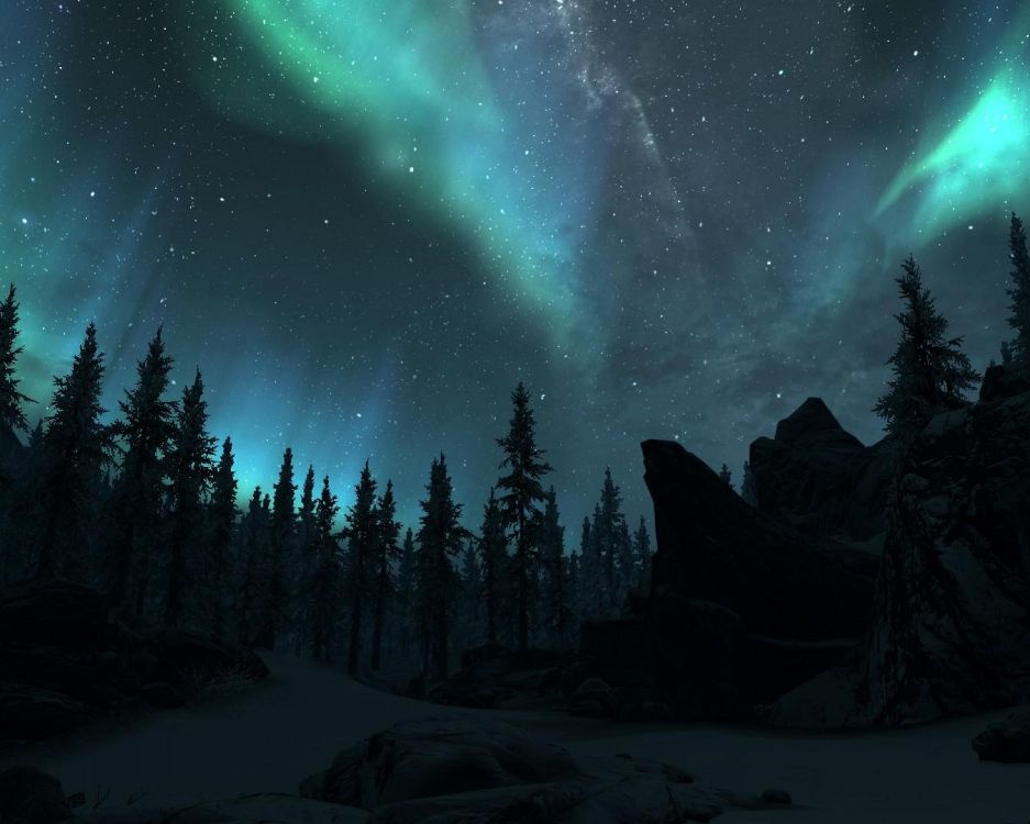 Обои Аврора, природа, дерево, окружающая среда, ночь в разрешении 3750x3000