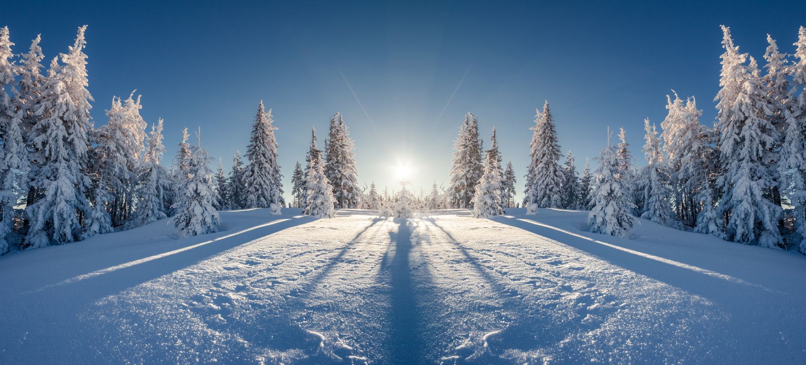 Обои зима, снег, дерево, природа, замораживание в разрешении 6946x3145