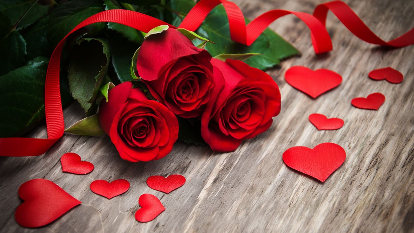 Обои День Святого Валентина, Роза, сердце, цветок, красный цвет в разрешении 2560x1440