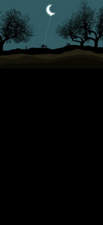 Обои полумесяц, воздушный шарик, экорегион, черный, природный ландшафт в разрешении 1080x2340