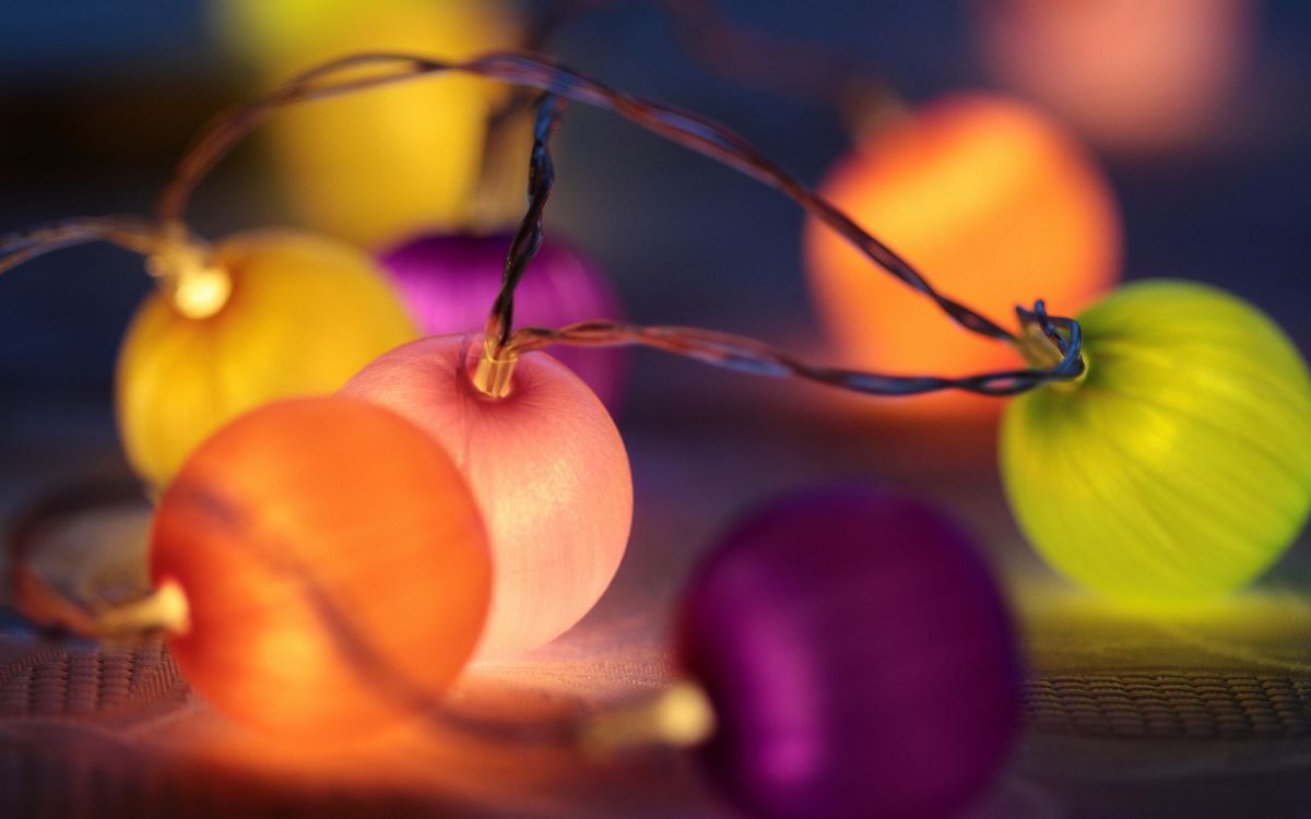 Обои фрукты, зимний сквош, тыквенных, продукция, овощ в разрешении 2560x1600