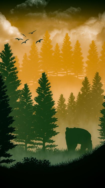 Обои природа, атмосфера, облако, зеленый, растение в разрешении 2160x3840