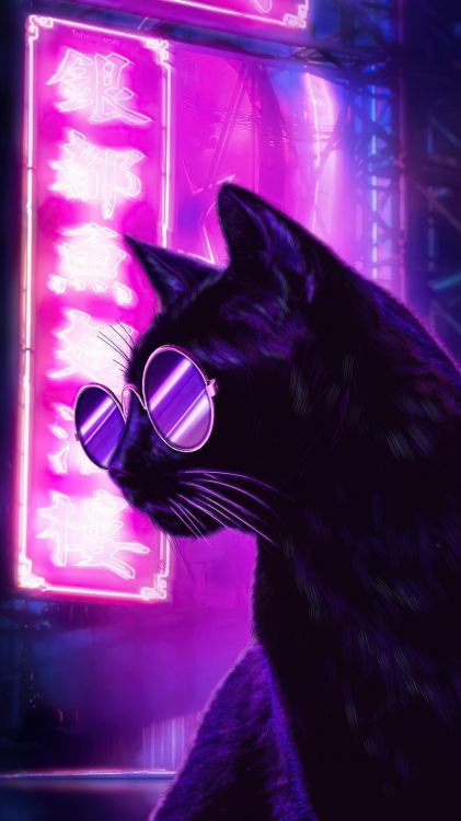 Обои эстетика, пурпур, неон, синий, кот в разрешении 1080x1920