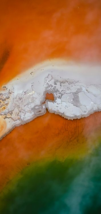 Обои Янтарь, Апельсин, древесина, пейзаж, природный ландшафт в разрешении 1421x3000