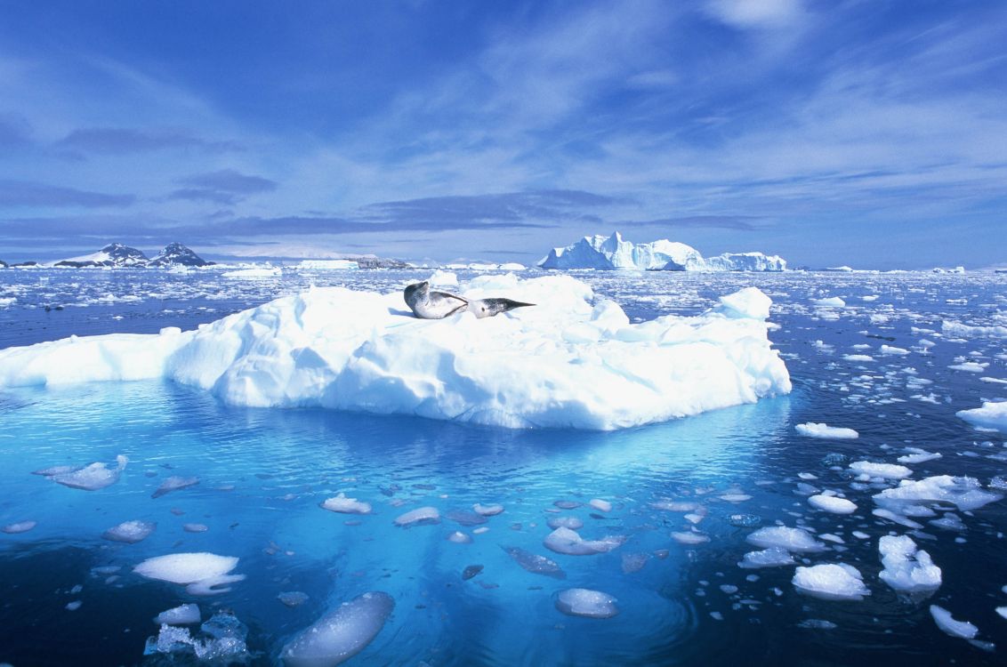 Обои лед океан, Северный Ледовитый океан, океан, лед, морской лед в разрешении 3208x2124