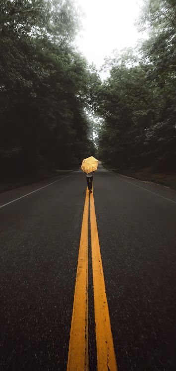 Обои переулок, растение, дорожное покрытие, асфальт, дерево в разрешении 1421x3001