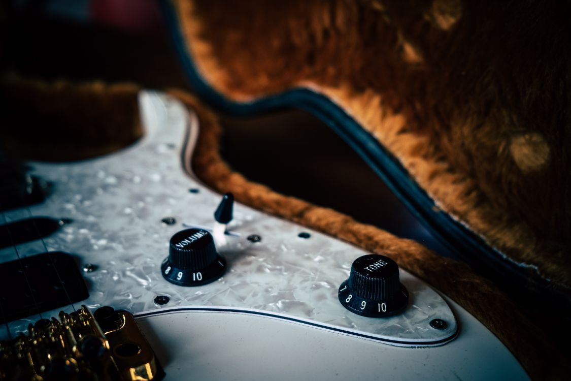 Обои басгитара, гитара, бас, строка, электрогитара в разрешении 4896x3264