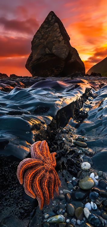 Обои свет, мир, гора, облако, окружающая среда в разрешении 1421x3000