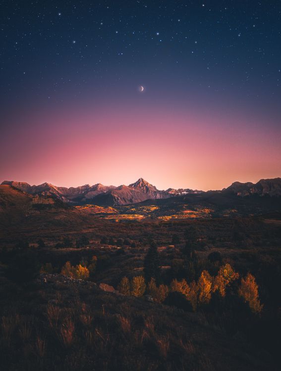 Обои атмосфера, экорегион, природный ландшафт, послесвечение, растение в разрешении 3099x4096