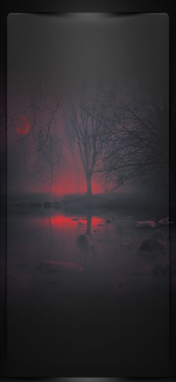 Обои отражение, визуальное искусство, атмосфера, ветвь, послесвечение в разрешении 1080x2340