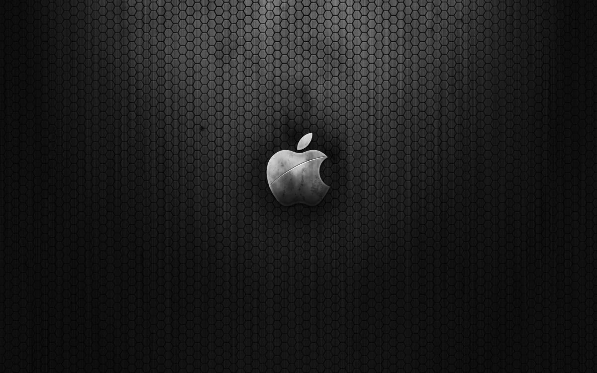 Обои apple, черный, растение, лого, монохромный в разрешении 2560x1600