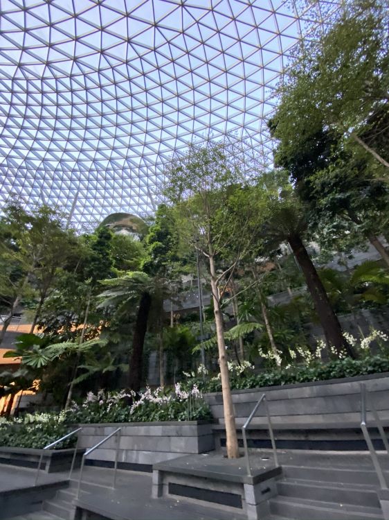 Обои китайский павильон на выставке expo 2010, ограждать провода, ячейка, звено цепи ограждая, сад в разрешении 1536x2048