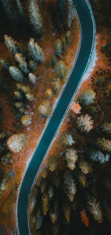 Обои подземные воды, коралловый риф, морская биология, растение, окружающая среда в разрешении 1421x3000