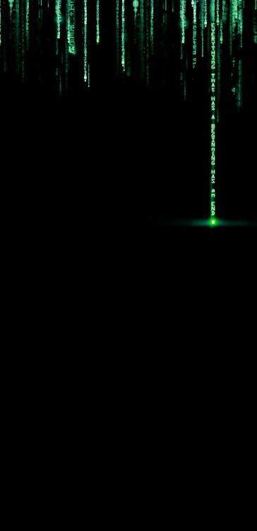 Обои матрица, матричный дождь, амолед, OLED, iOS 13 в разрешении 1080x2220