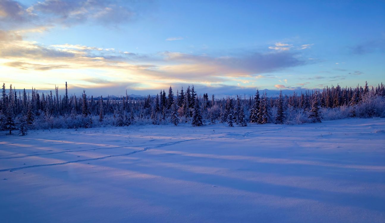 Обои Аляска, снег, зима, облако, замораживание в разрешении 5373x3111