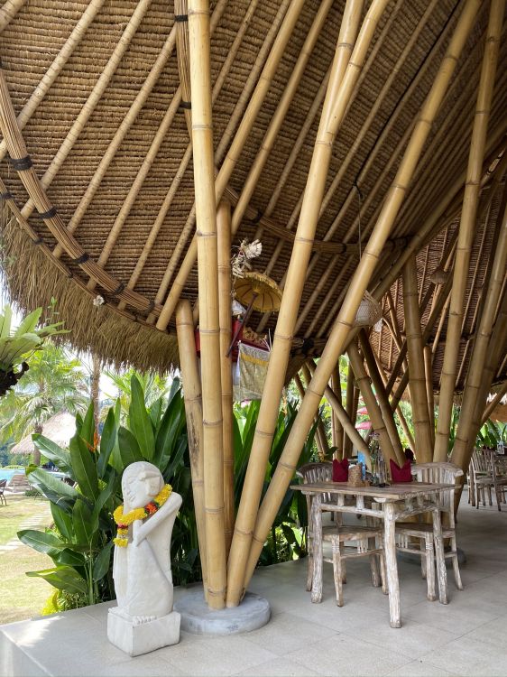 Обои древесина, игрушка, фигурка, уличная мебель, украшение газона в разрешении 1536x2048