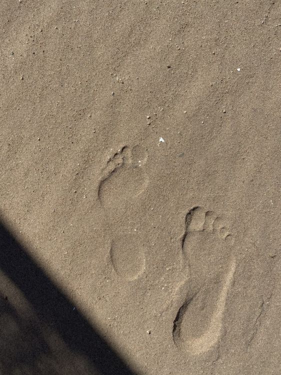 Обои песок, древесина, серый цвет, автомобильные шины, след в разрешении 1536x2048