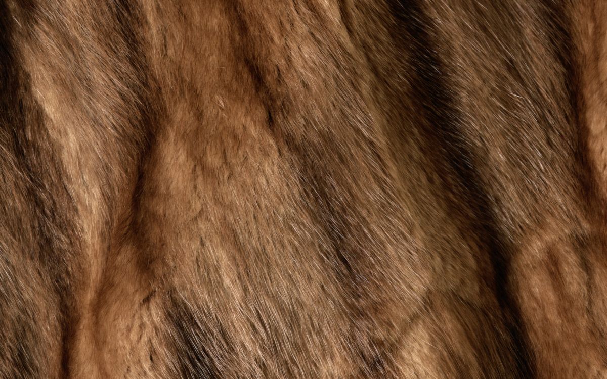 Обои меховая одежда, мех, искусственный мех, одежда, волосы в разрешении 2560x1600