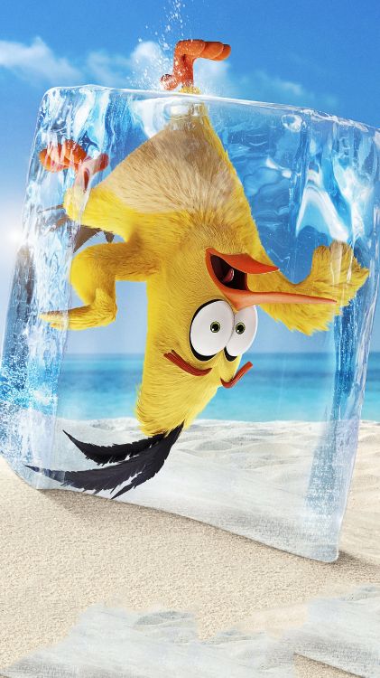 Обои могучий орел, зажимной патрон, бросить злых птиц, лазурный, вода в разрешении 2160x3840