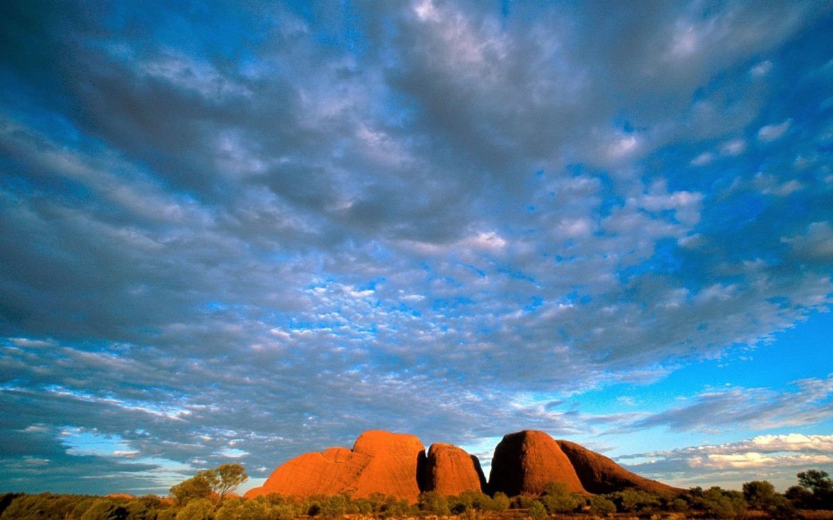 Обои облако, дневное время, экорегион, кучевое облако, день в разрешении 2560x1600