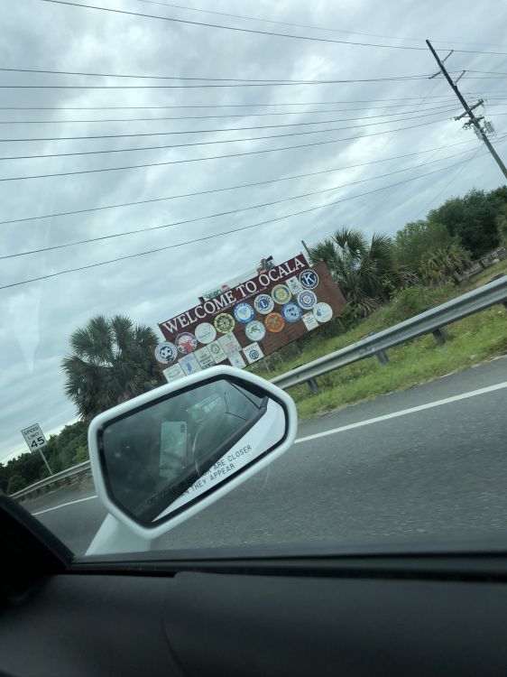 Обои ветровое стекло, Король, компактный автомобиль, автомобильное зеркало, стекло в разрешении 1536x2048