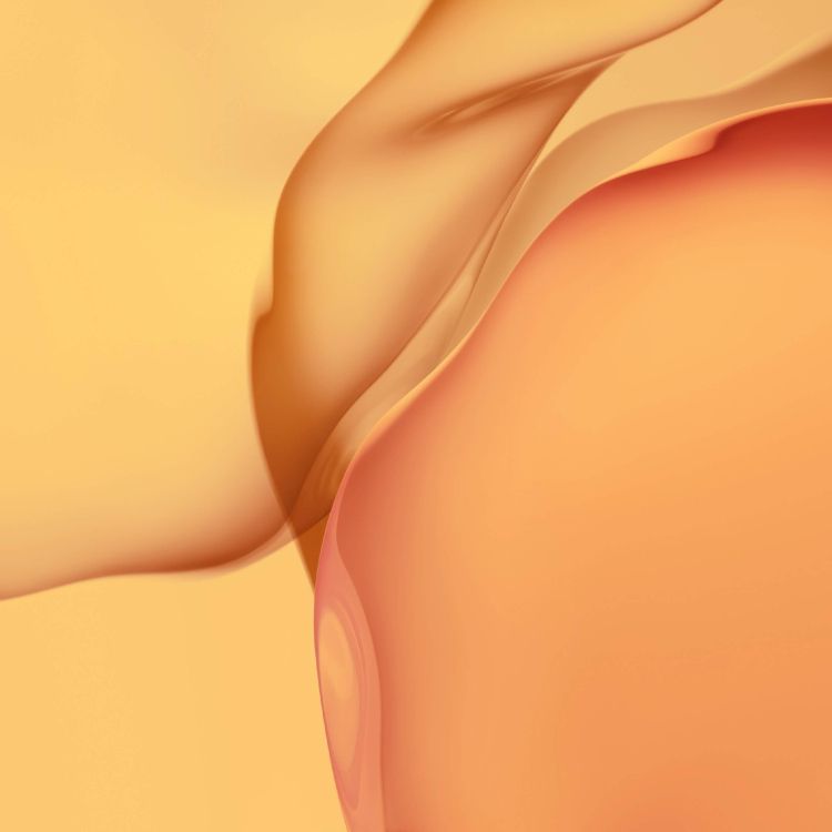 Обои Huawei, Huawei P40 Pro, huawei p40, смартфон, персик в разрешении 2640x2640