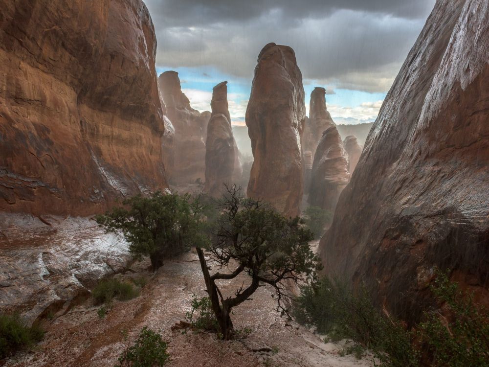 Обои национальный парк арки, национальный парк, каньон, парк, формирование в разрешении 2560x1920