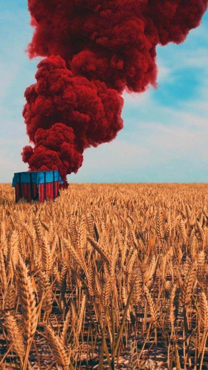 Обои ios, андроид, растение, облако, цветок в разрешении 720x1280