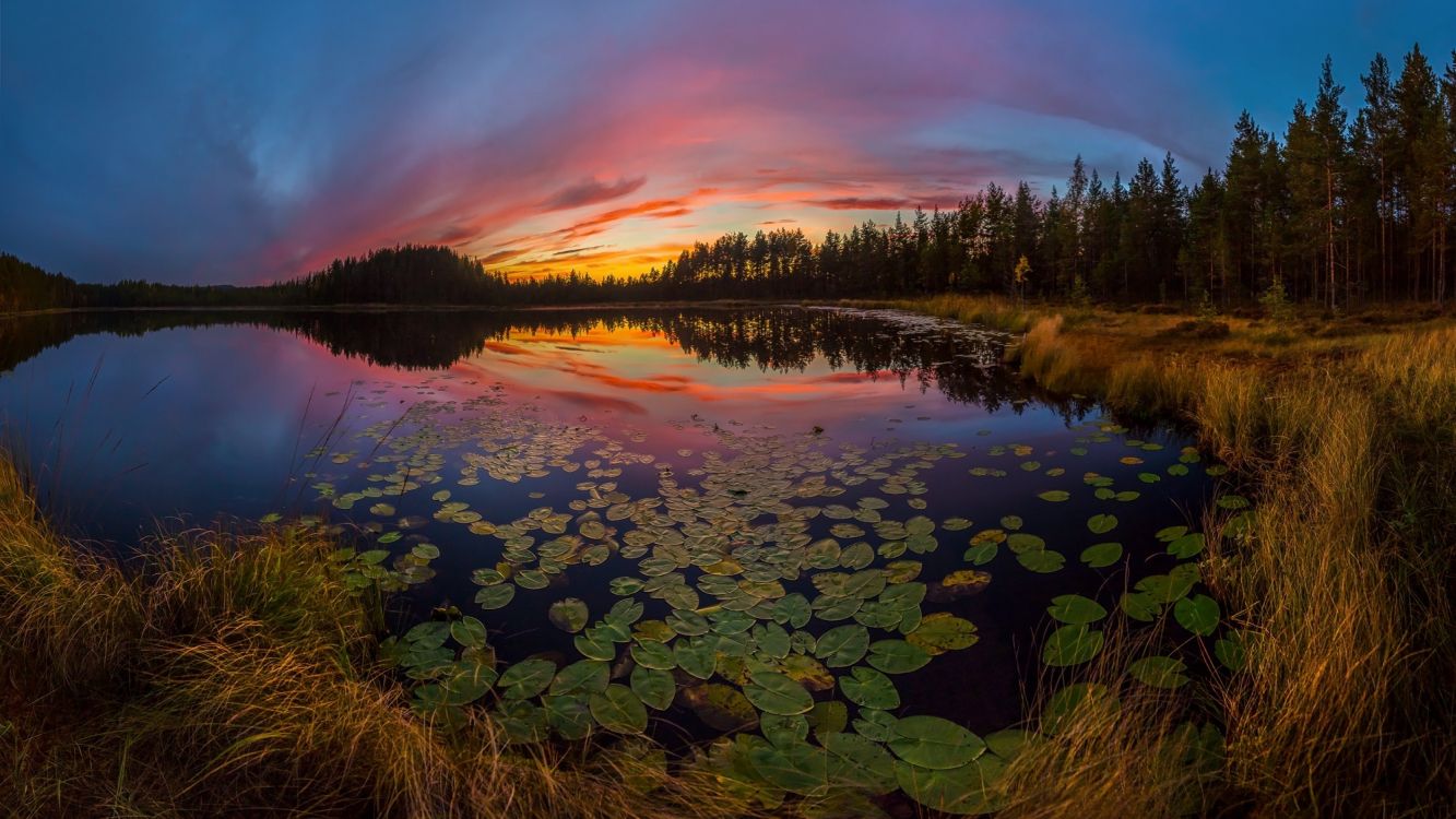 Обои озеро, природа, отражение, вода, дикая местность в разрешении 3840x2160