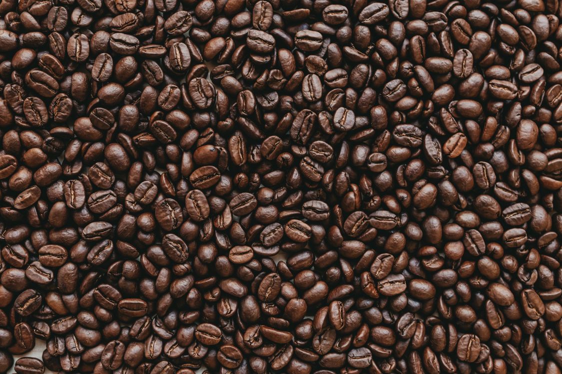 Обои боб, кофеин, коричневый цвет, Одного происхождения кофе, ямайский кофе Блю Маунтин в разрешении 5472x3648