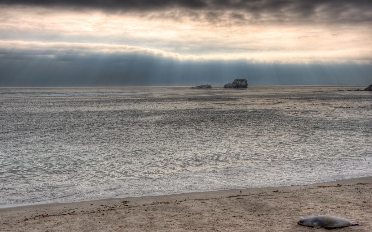 Обои море, горизонт, пляж, песок, океан в разрешении 1920x1200