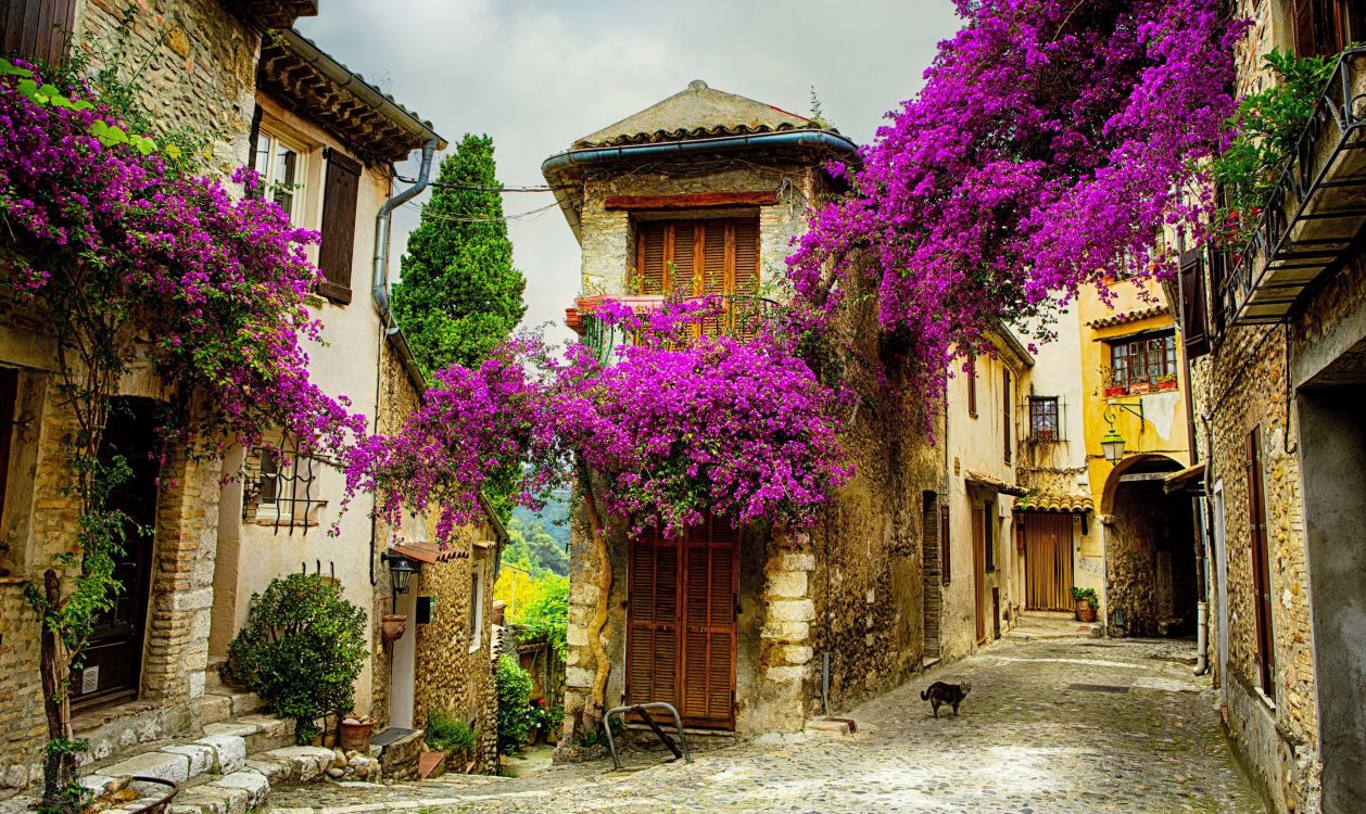 Обои городок, цветок, улица, Хаус, средневековая архитектура в разрешении 3520x2097