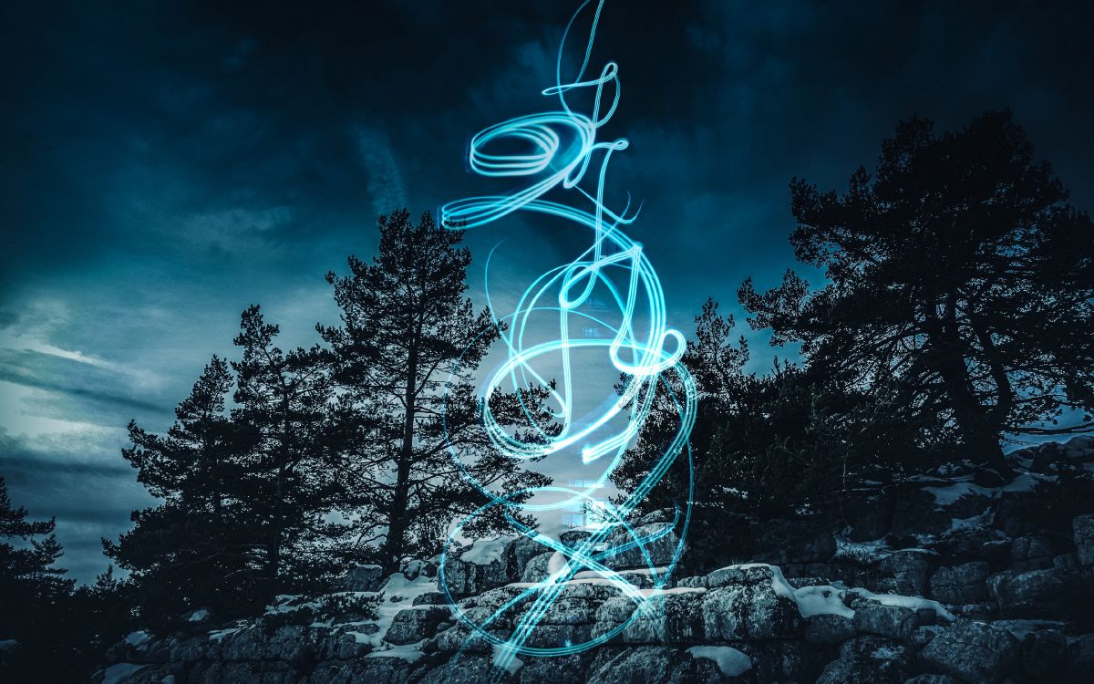 Обои ночь, синий, дерево, свет, темнота в разрешении 3840x2400