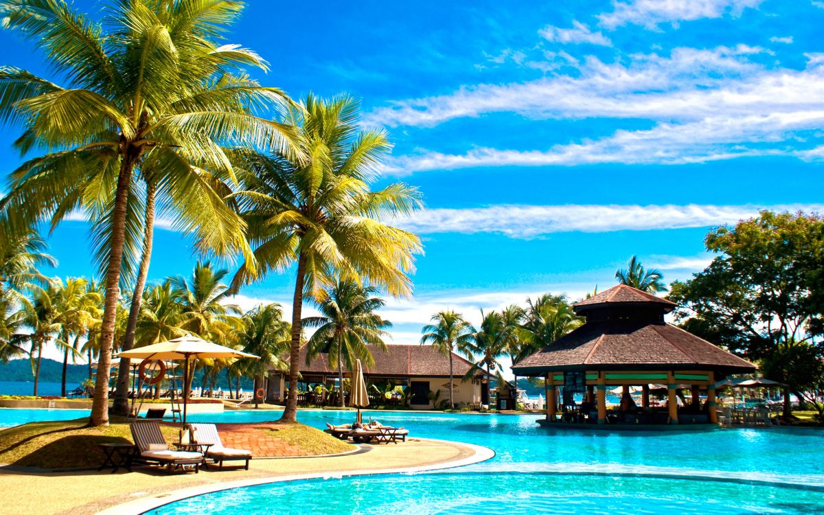 Обои плавательный бассейн, комната, Отель Пасифик Сутера, пляж, прибежище в разрешении 2880x1800