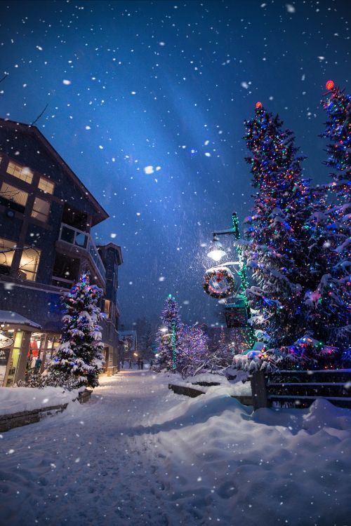 Обои Рождественский день, елка, зима, снег, ночь в разрешении 2400x3600