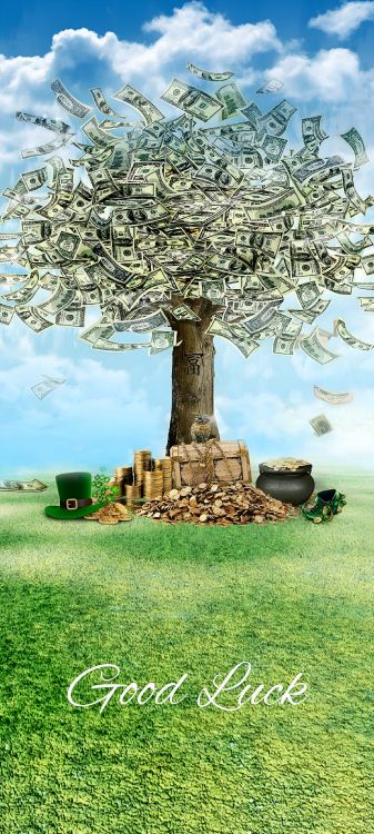 Обои дерево, золото, деньги, удача, мотивация в разрешении 1843x4096