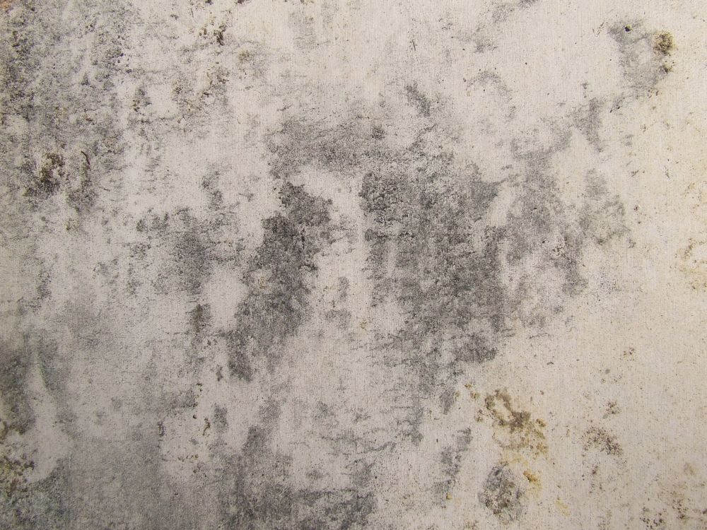 Обои стена, бетон, текст, песня, мелодия в разрешении 2592x1944