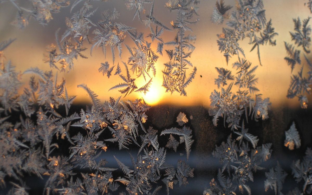 Обои зима, снег, мороз, солнечный свет, утро в разрешении 2560x1600
