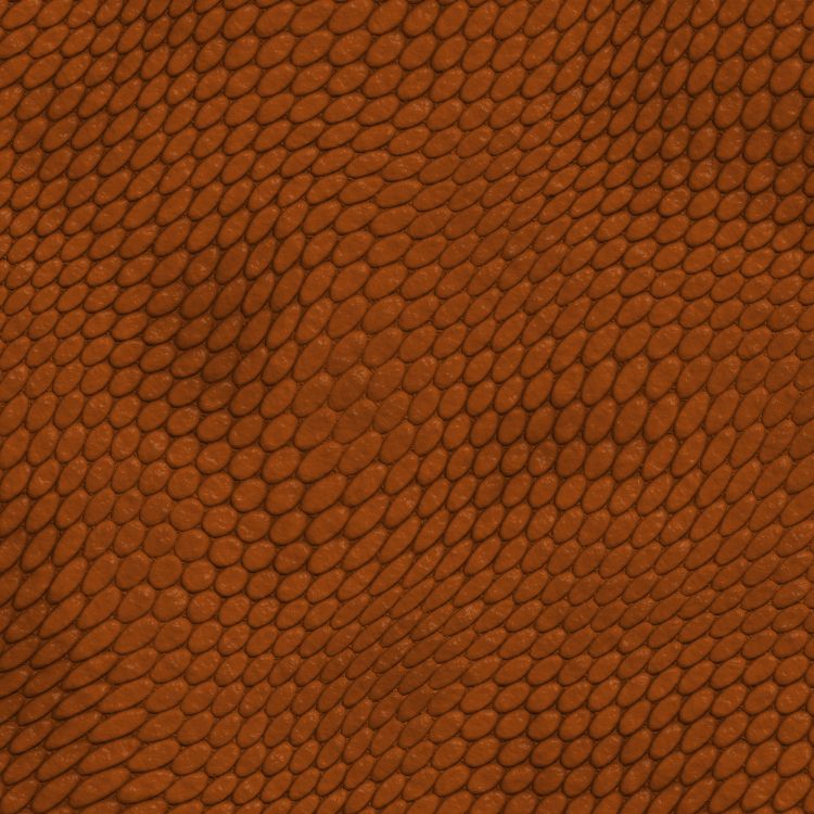 Обои Апельсин, коричневый цвет, узор, морилка, Киев в разрешении 2000x2000