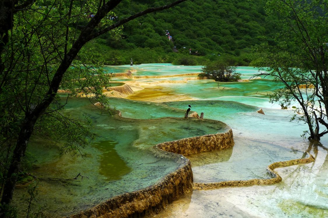 Обои природа, парк, природный парк, природный заповедник, водоем в разрешении 2700x1800